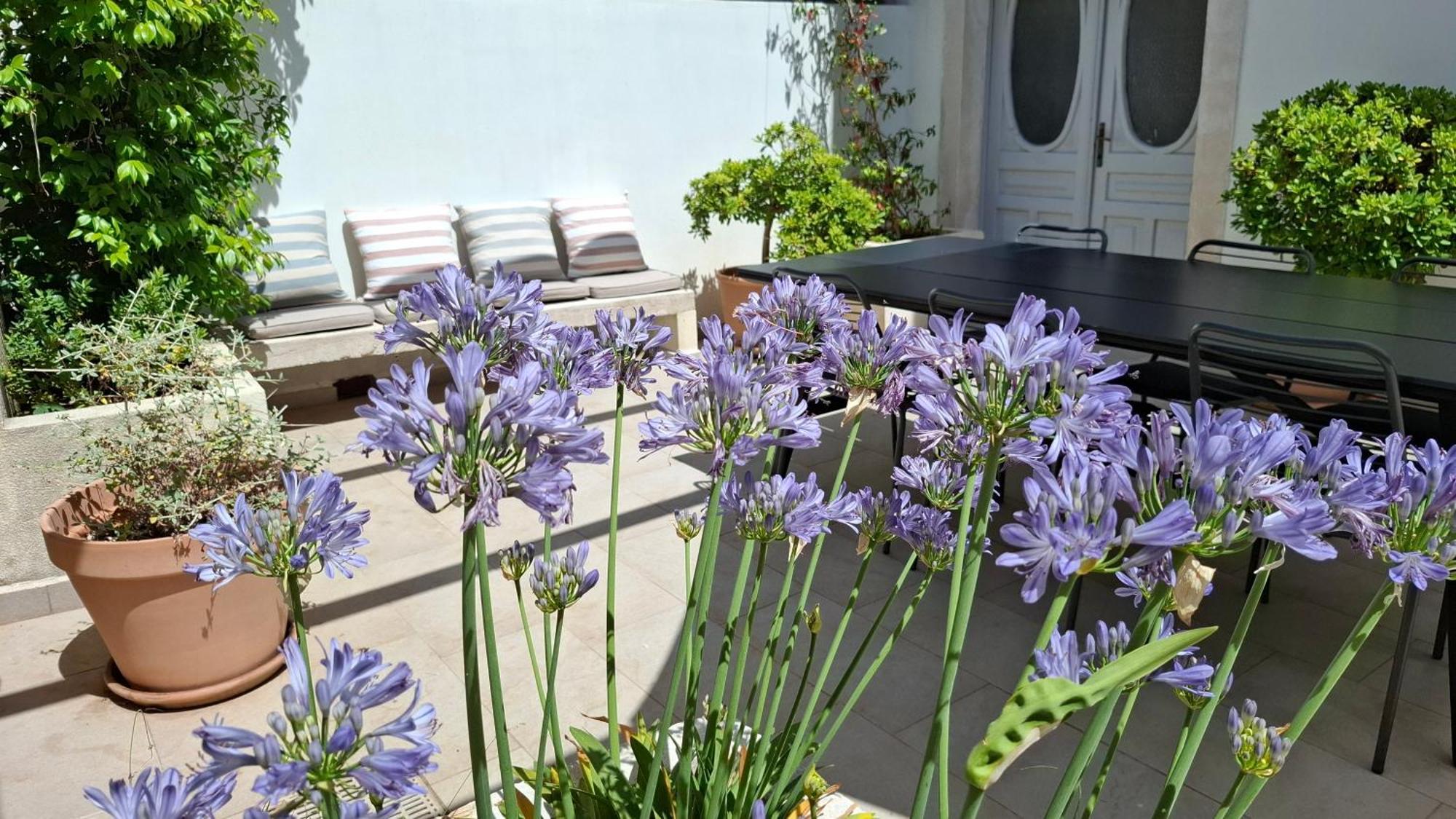 Villa Mira With A Heated Pool And A Sea View Božava Exteriér fotografie